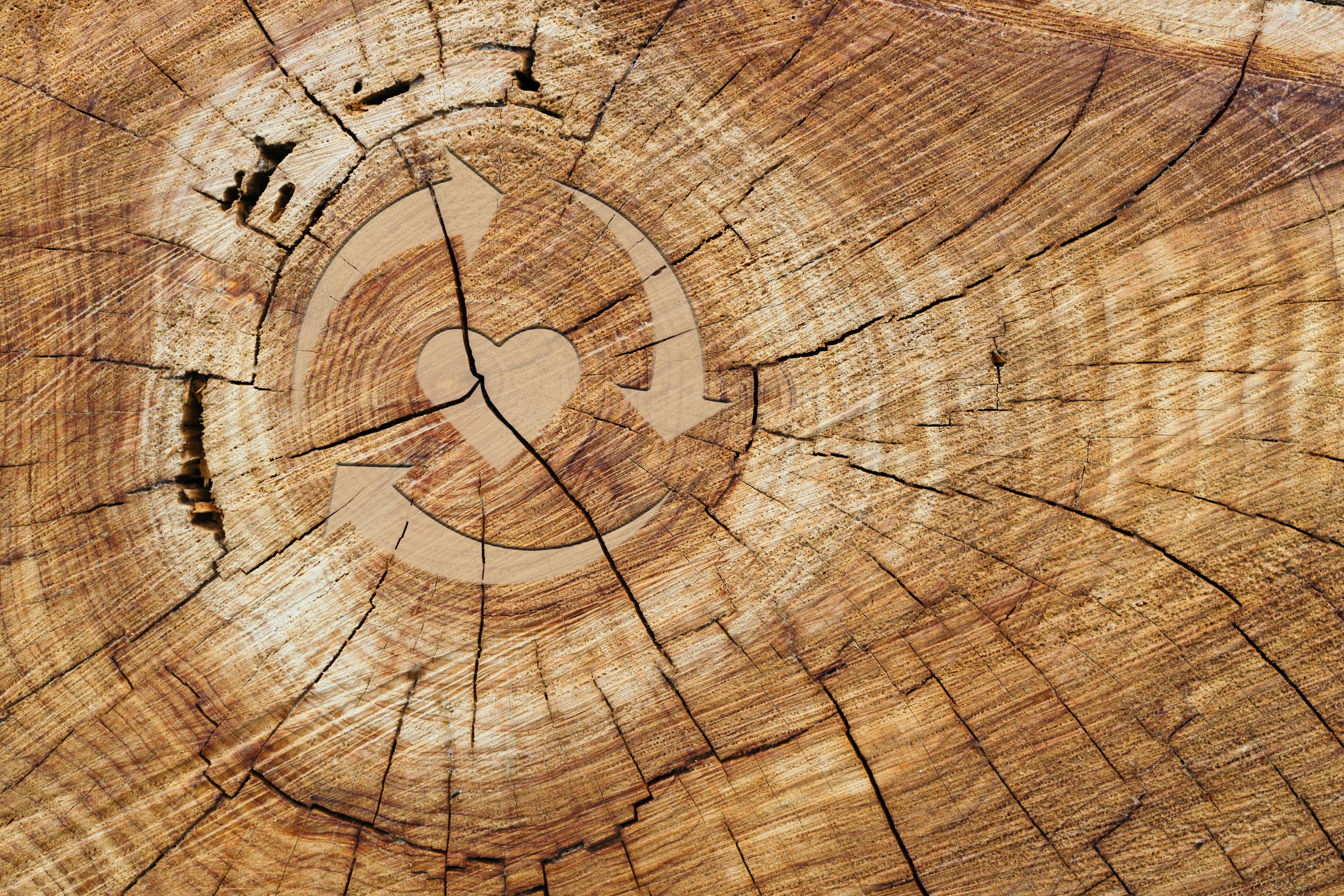CIRCULAR ECONOMY: THE 3R’s of a more responsible business model