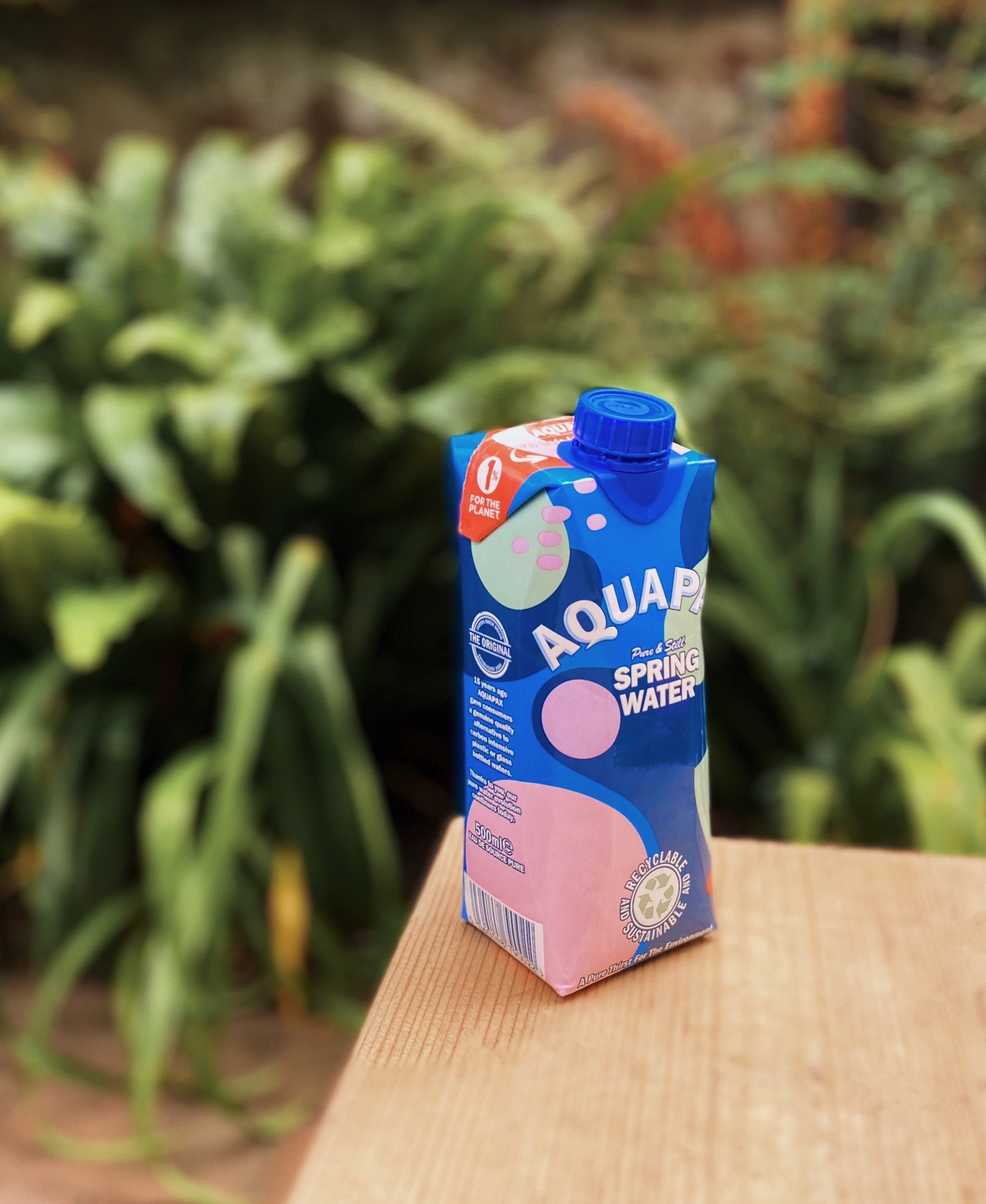 Celebrating 15 Years of Aquapax!