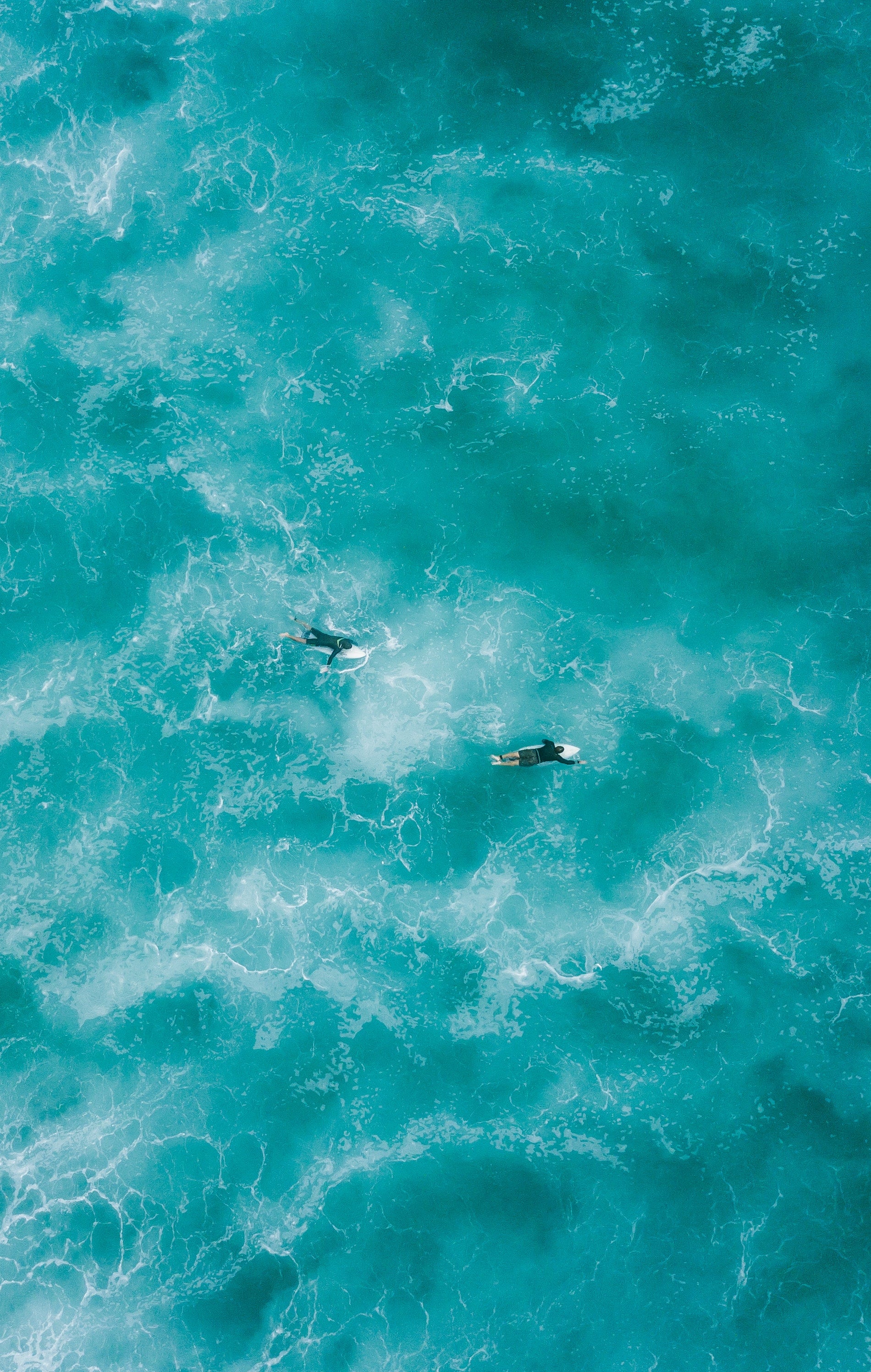 World Water Day, aquapax, carton, spring, mineral, eco sustainable