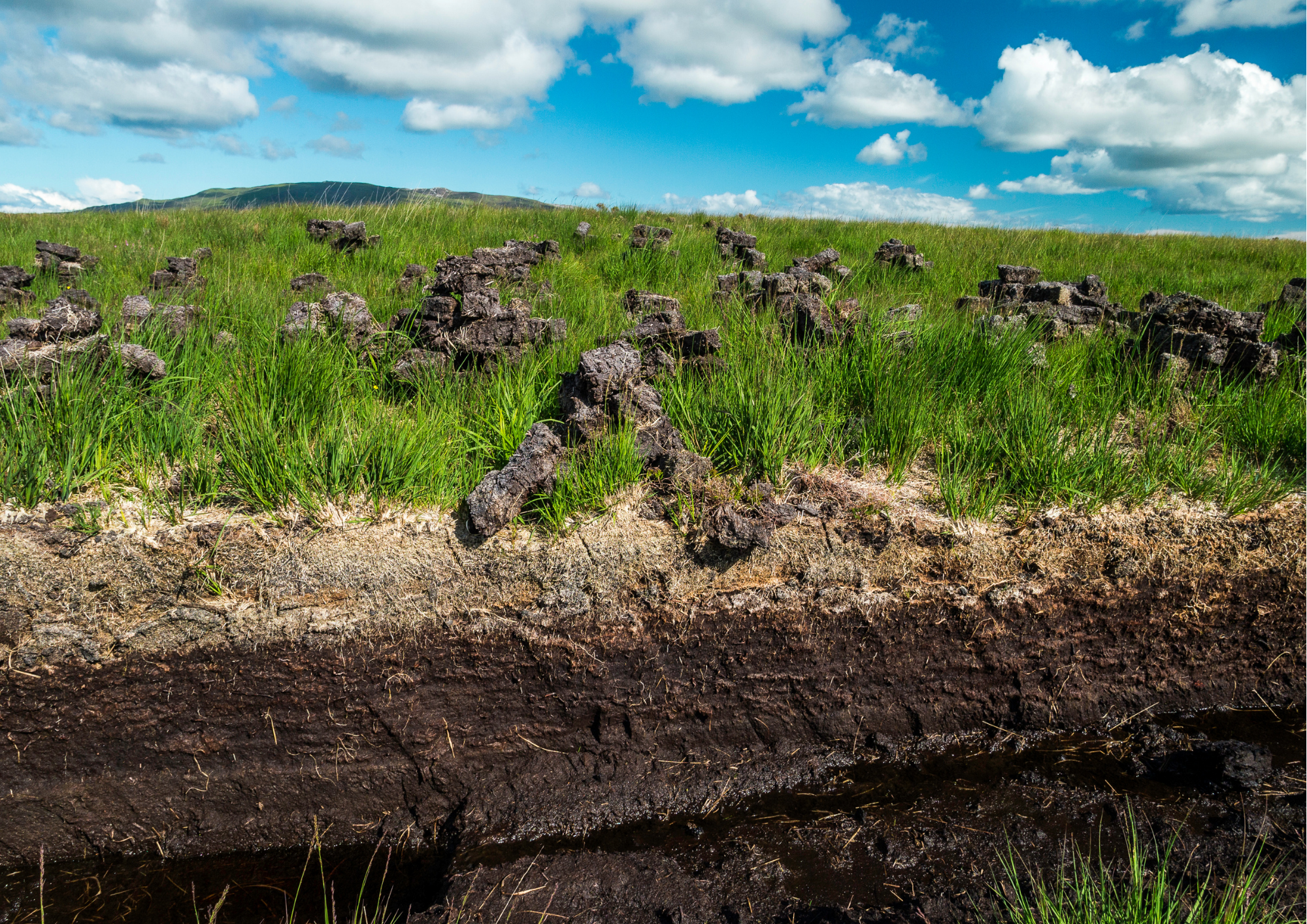 Peat Compost Ban Weclomed by Environmentalists