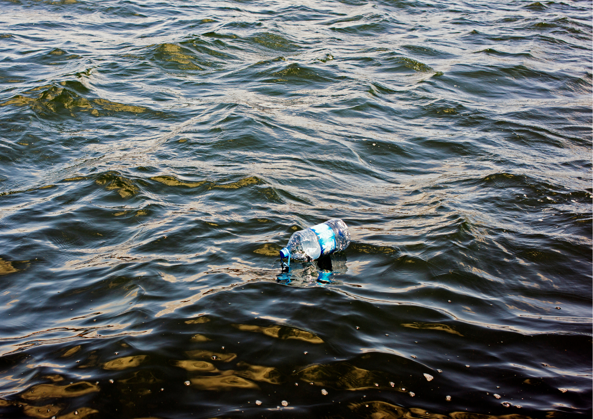 Harmful plastics and what we can do to avoid them