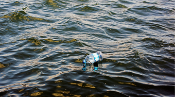 Harmful plastics and what we can do to avoid them
