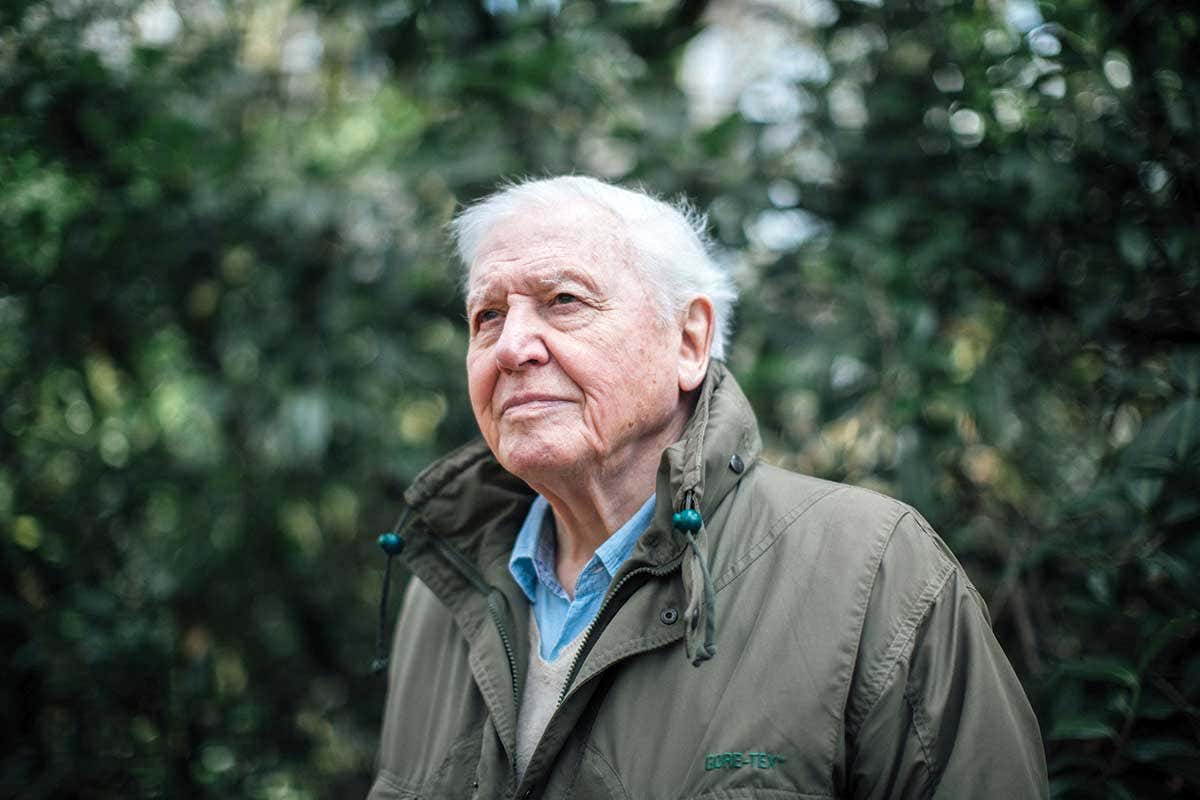 David Attenborough Blue Planet Aquapax Water