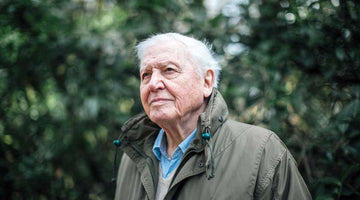 Sir David Attenborough on Plastic Pollution
