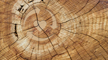 CIRCULAR ECONOMY: THE 3R’s of a more responsible business model