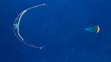 The Ocean Cleanup!