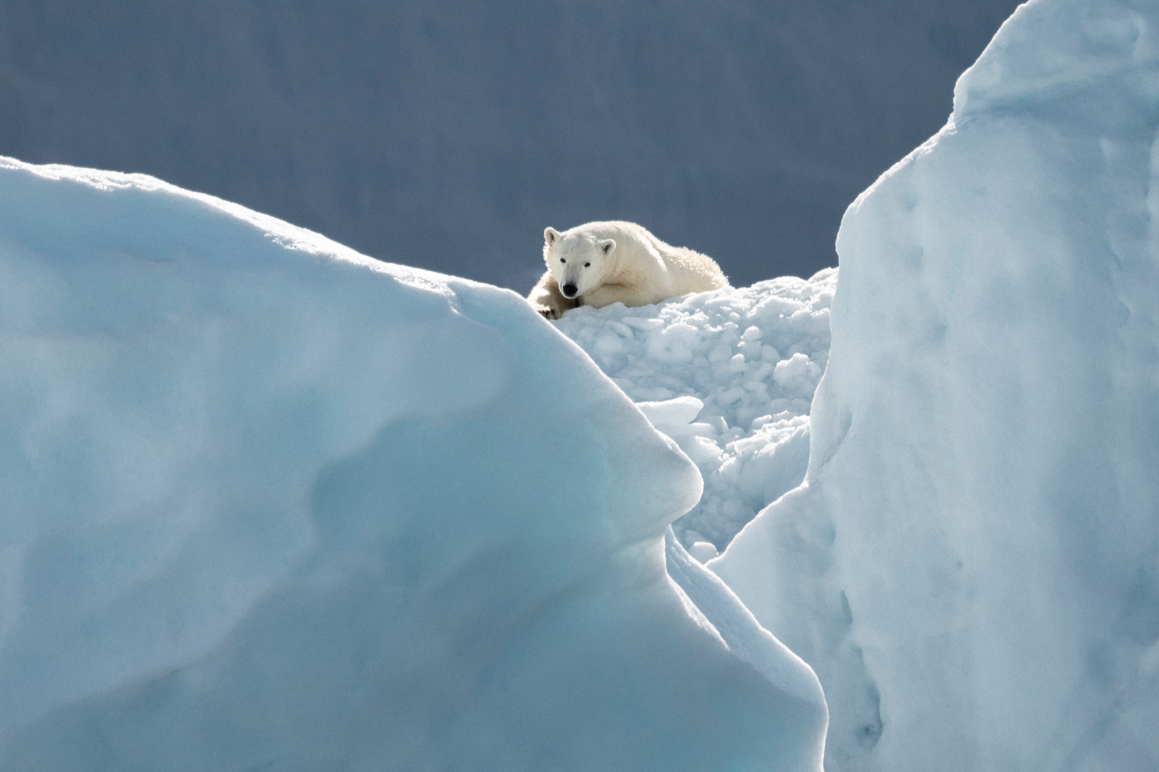 Plastic has reached the air & the Arctic