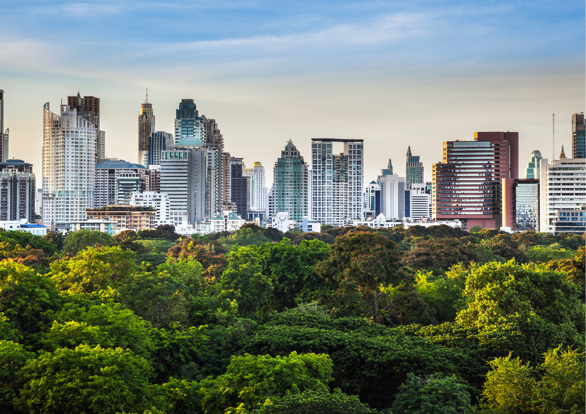 environmental city park trees skyscrapers