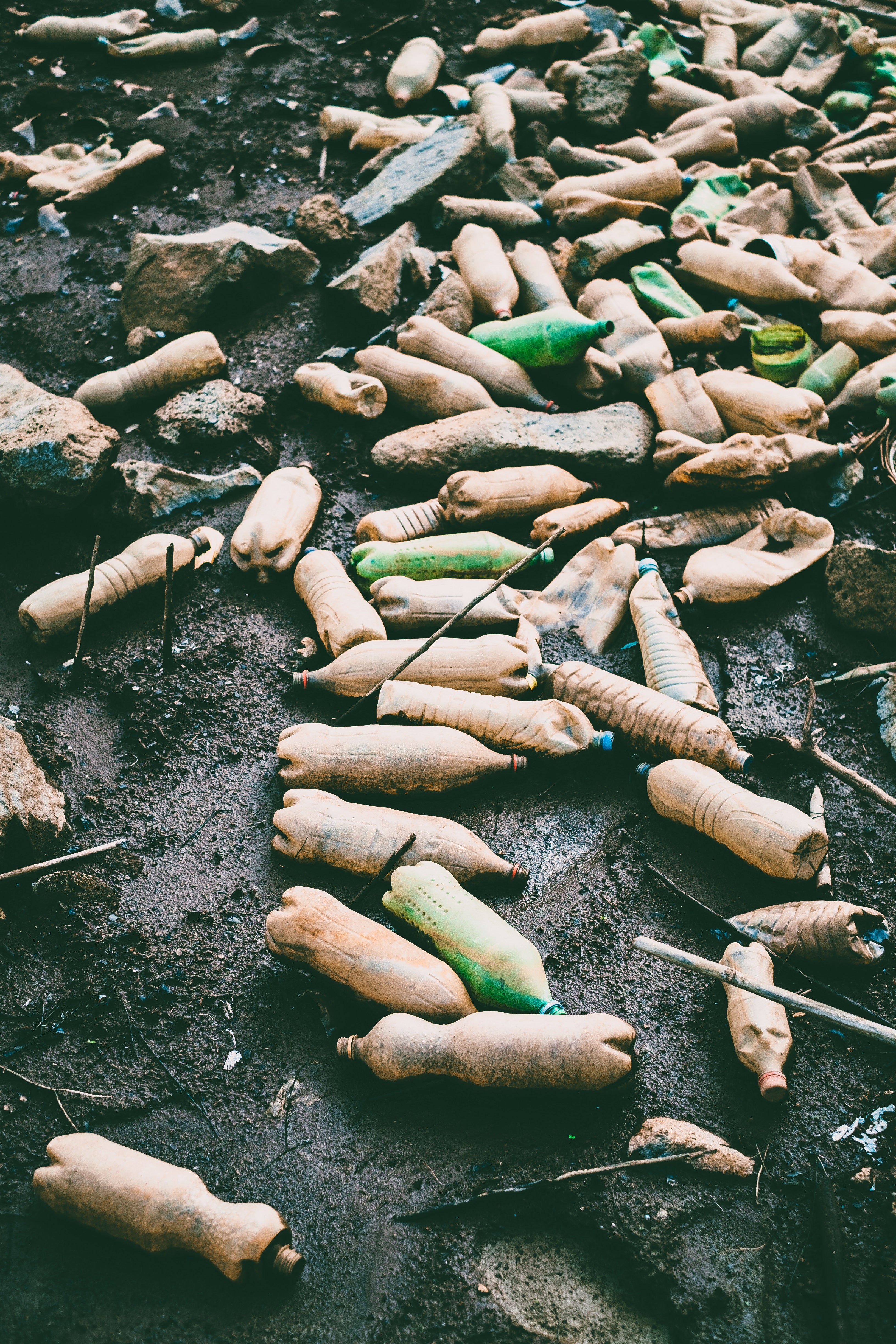 Plastic Bottles Now The Biggest Threat To Waterways